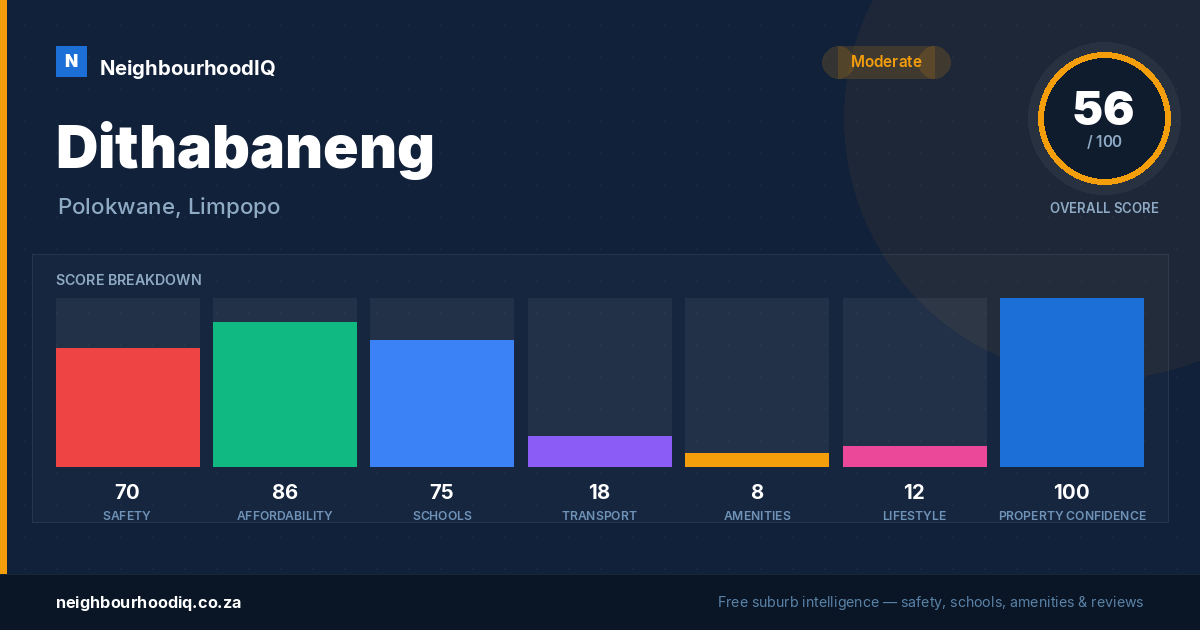 Dithabaneng report card