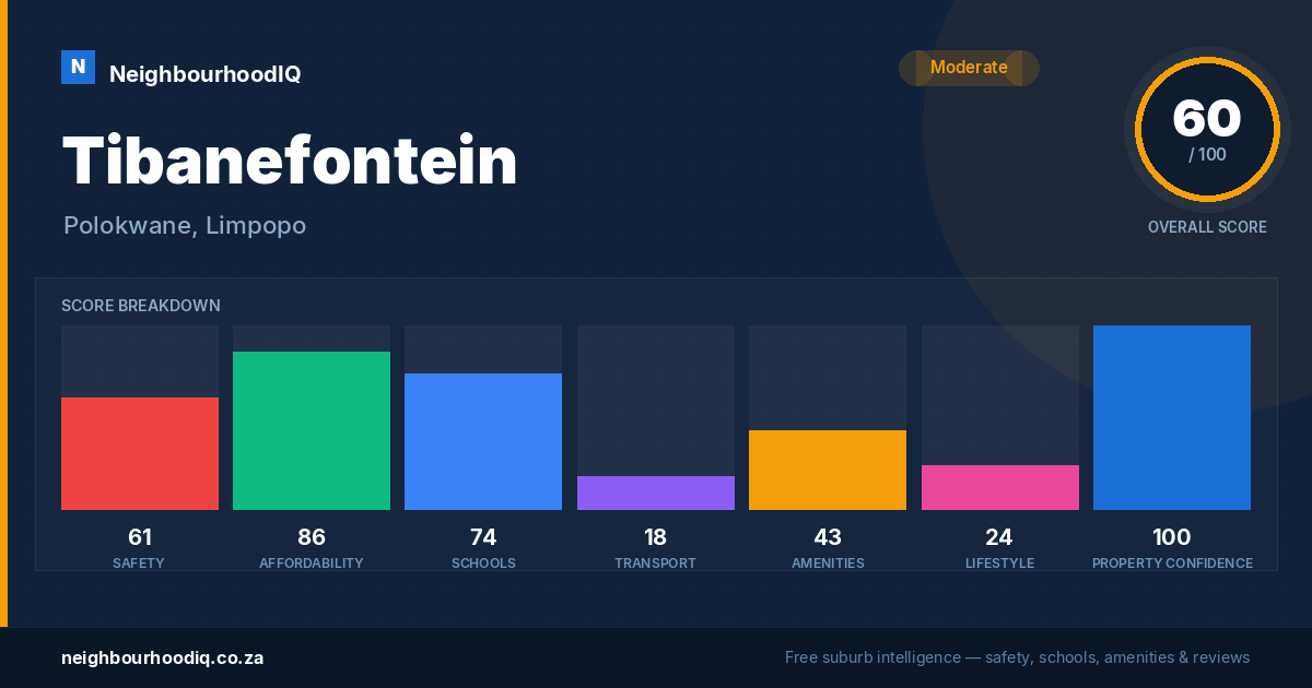 Tibanefontein report card